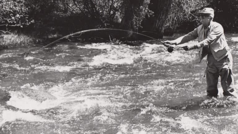 Photo of Kenneth McAfee trout fishing in 1960