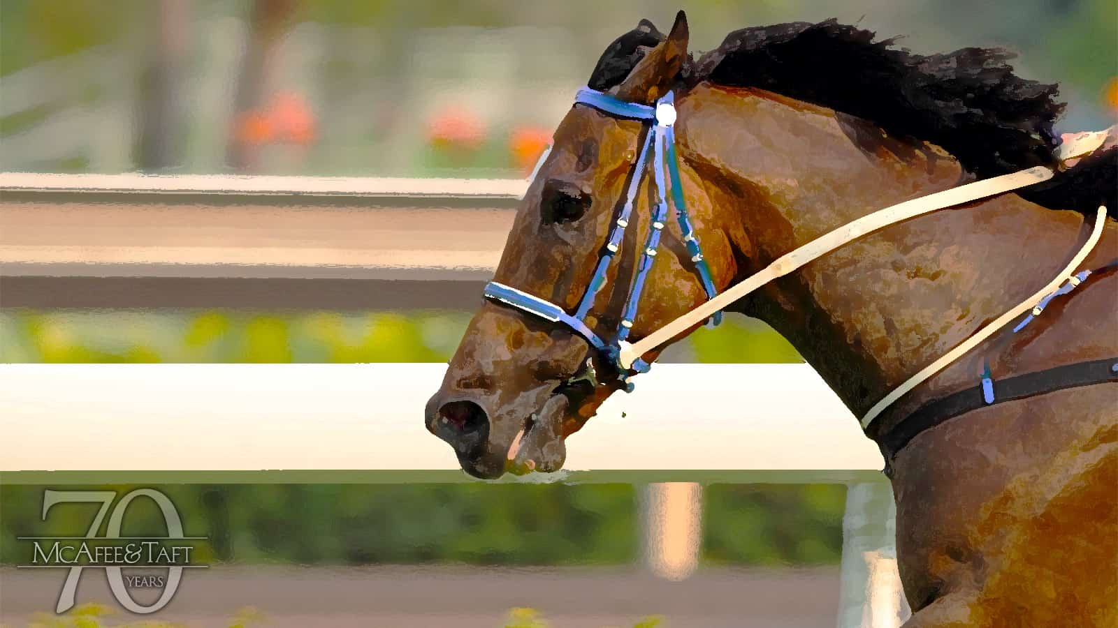 Close-up image of thoroughbred horse racing