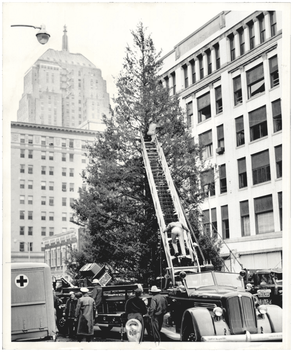 Like mountain climbers scaling the Alps, firemen and volunteer workers climb a ladder to decorate the giant red cedar "Tree of Lights" which will glow over the downtown shopping scene during the Christmas season.